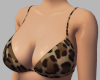 Cheetah Bra ♡