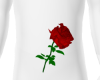 AR| Red Rose Boy