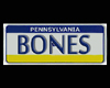 [bamz]Bones lic. plate