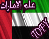 UAE United Emirates Flag