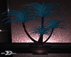 -D-Allanis Plant