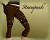 >Steampunk Leggings<