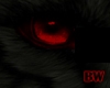 Black Wolf Vamp