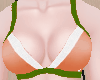 Sport Bra Orange