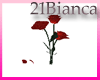 21b-animated roses