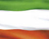 S33 Irish Flag