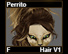 Perrito Hair F V1