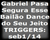 Gabriel Pasa Segura Esse