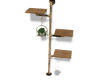 Pipe Shelves + Plants