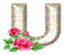 U WITH ROSES AND GLITTER