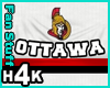 H4K NHL Tank Ottowa
