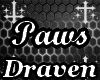 Kino |F.Paws