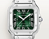 SANTOS GREEN WATCH