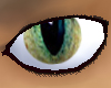 Deep Green Cat eyes