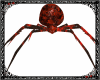 Blood Engorged Spider