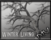 (MV) ❄ Winter Plant