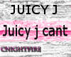 [C] JuicyJ Cant Voicebox