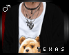 TX! Ted  Casual Jacket