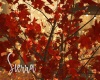 ;) Lit Fall Tree Red