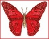 red butterflies *