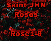 SAINt JHN  Roses