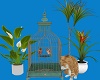 Cat Bird Cage