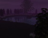 Lavender Pond Night
