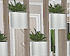 Room Divider w Plants
