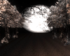 Magic Forest