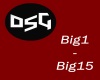 DSG-Big Adventure