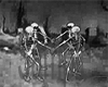 Cute Skeleton Dance :P