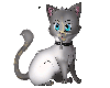 Pretty Kitty