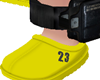 NY Y 23