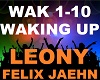 Felix Jaehn - Waking Up