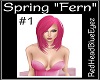 RHBE.SpringFern#1