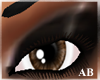 (AB) Chocolate Brn Eyes