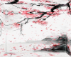 Sakura Falling Bg