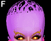 bald hair big brain - F
