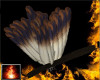 HF Feather Band 4