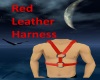 Red Leather Harness