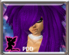 (PDD)Wild Purple