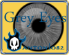 Grey Eyes (f)