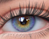 Eyes Fem