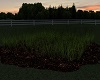 Mulch With Grass