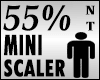 Mini Scaler 55%