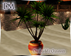 [DM] Yucca Plant