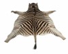 Zebra Skin Rug #4