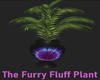 furry fluff plant