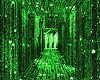Clubbed to Death MATRIX