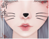 ☽ Kitten/Cat Mask Drv